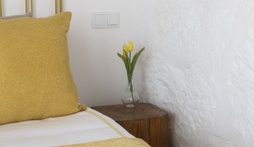 Habitación tradicional doble, vistas al viñedo