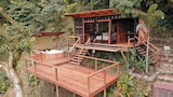 Premium Cabin