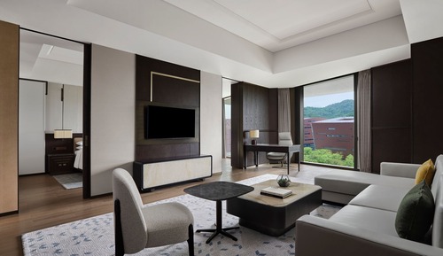 Suite Premium, 1 habitación