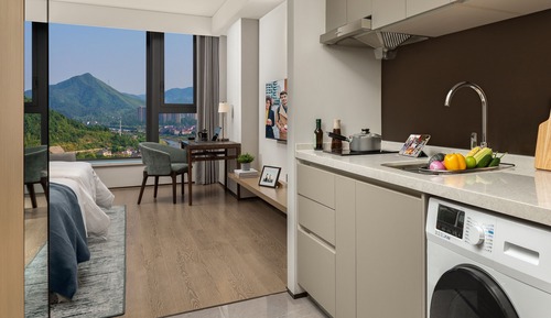 Apartamento ejecutivo, 1 habitación