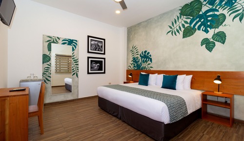 Habitación estándar doble