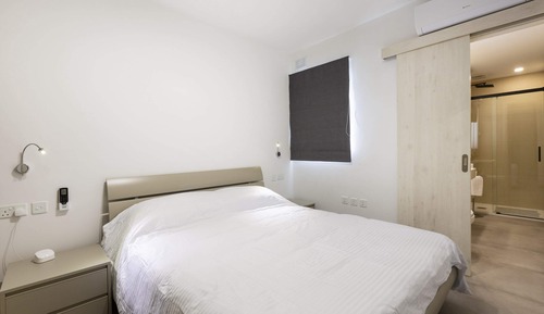 Apartamento básico, 1 cama doble con sofá cama