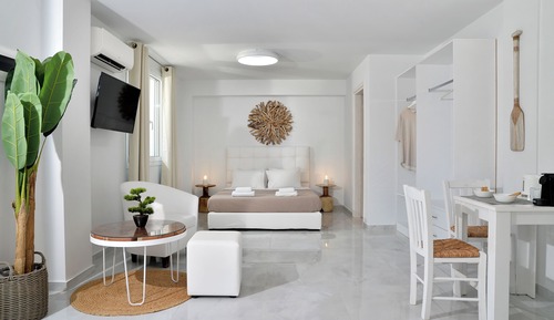 Estudio Deluxe, vistas al jardín