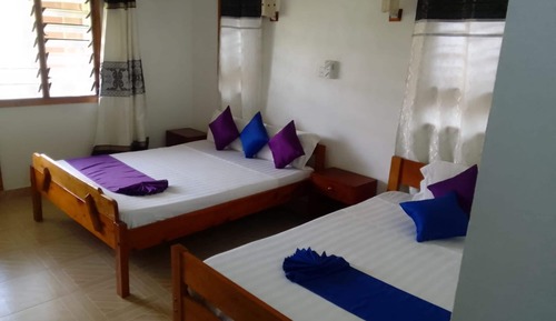 Habitación estándar con 2 camas individuales, varias camas