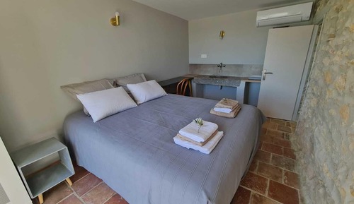 Habitación Premium doble, baño privado, vistas al viñedo (L'Olivaie chambre en rdc)