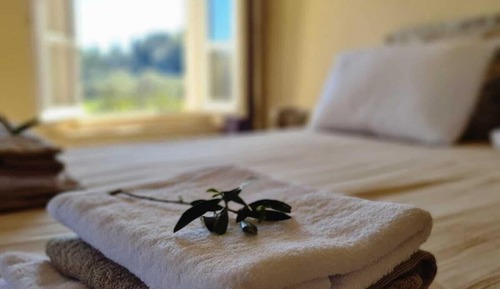 Habitación Elite doble, baño privado, vistas a la piscina (Chambre Mourvèdre )