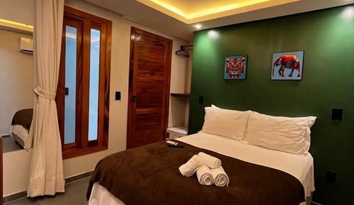 Habitación básica con 1 cama doble o 2 individuales