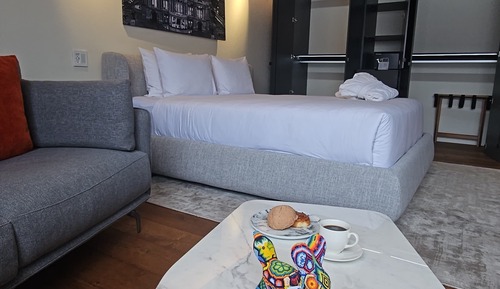 Suite superior, 1 cama de matrimonio