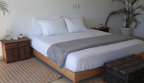 Suite Agaves 2