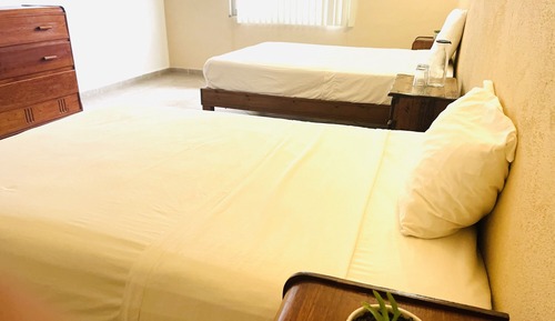 Suite Agaves 3
