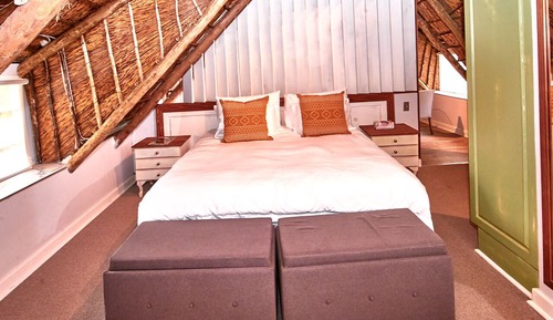 Safari Suite