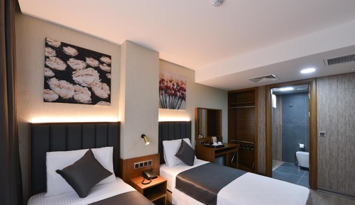 Deluxe Double or Twin Room