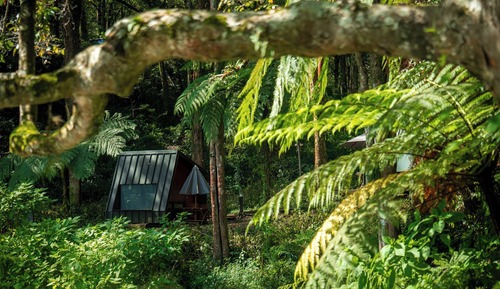 Cabaña estándar, baño compartido