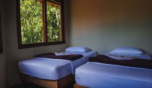Habitación doble, vistas al jardín