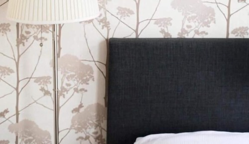 Habitación básica con 1 cama doble o 2 individuales