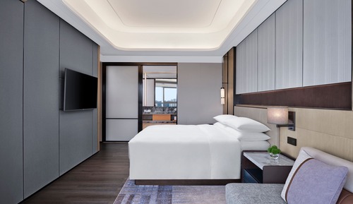 Suite ejecutiva, 1 cama de matrimonio grande, vistas a la ciudad