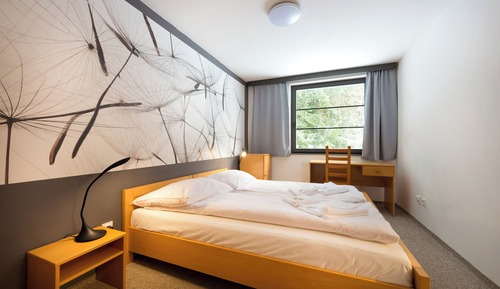 Habitación clásica doble