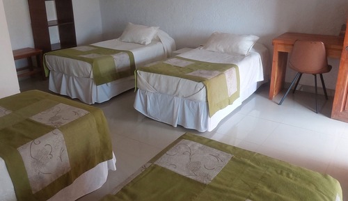 Habitación cuádruple familiar