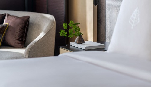 Suite Premier, no fumadores, terraza