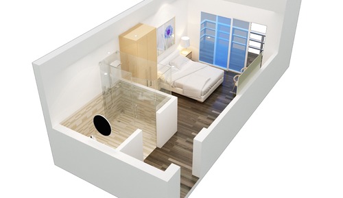 Habitación Premier
