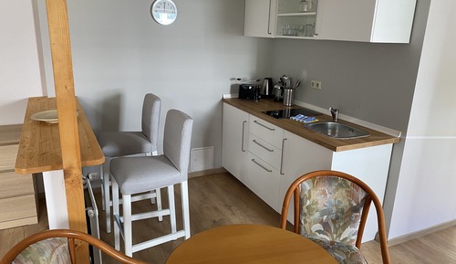 Apartamento estándar, baño privado, vistas al jardín