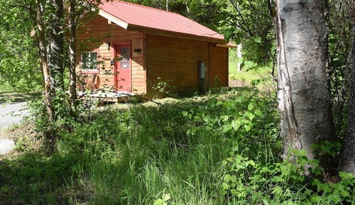 Cabaña superior, baño privado (Birch Cabin)