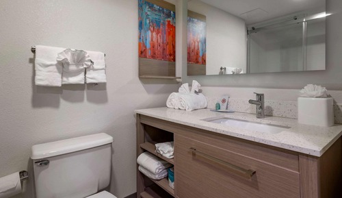 Suite, 1 cama de matrimonio grande, no fumadores (Efficiency)