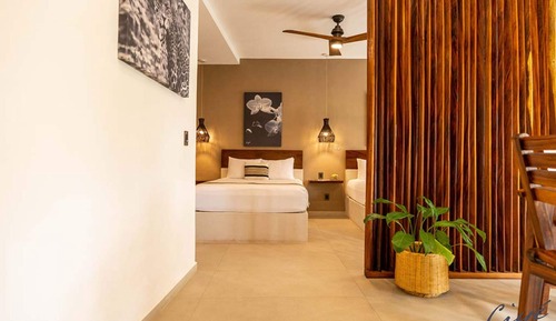 Habitación Premium