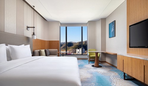 Habitación estándar, 1 cama de matrimonio grande con sofá cama, vistas al jardín