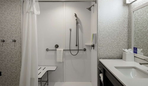 Estudio, 1 cama de matrimonio grande, accesible para personas con discapacidad (Roll-In Shower)