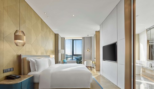 Habitación Premium, 1 cama de matrimonio grande