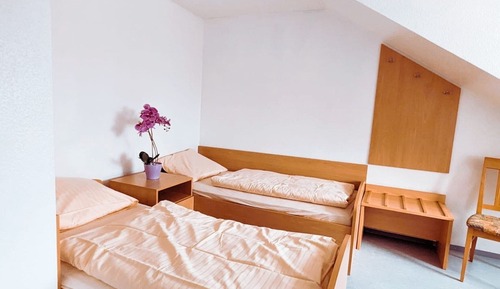 Habitación básica con 2 camas individuales, baño privado, vistas al patio