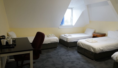 Habitación cuádruple básica