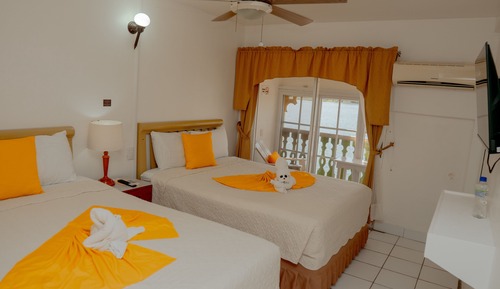 Habitación Deluxe con 2 camas individuales