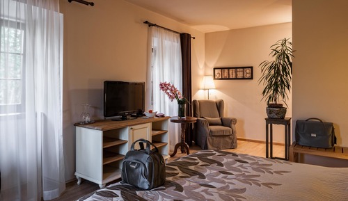 Habitación Premium doble, vistas al río