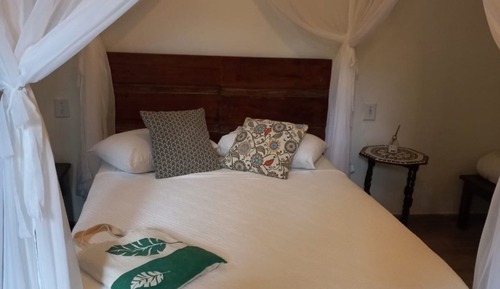 Suite Paineira