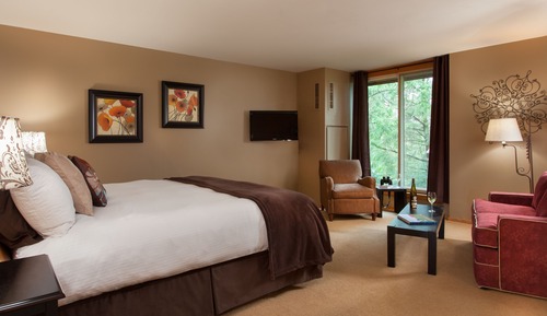 Habitación estándar, 1 cama de matrimonio grande