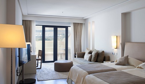Habitación Deluxe doble, vistas al jardín