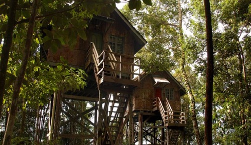 Tree House