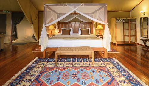 Tienda Deluxe, 1 cama de matrimonio grande, terraza, vistas al parque (Deluxe Tent with 1King Bed)