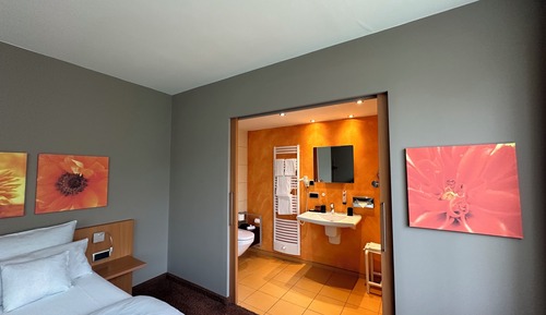 Suite estudio junior