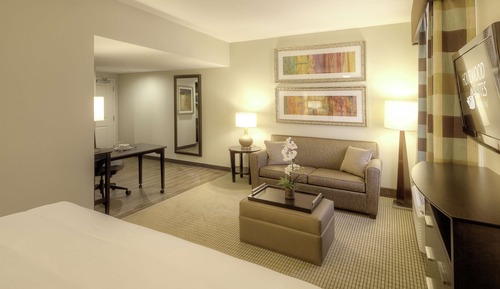 Estudio, 1 cama de matrimonio grande (Mobility & Hearing, Roll-in Shower)