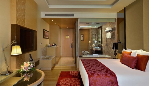 Habitación Business (Business Class)