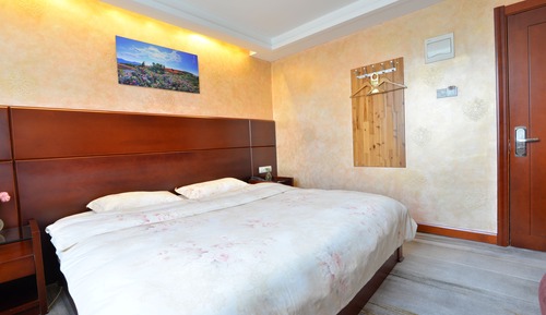Habitación de diseño, 1 cama de matrimonio grande