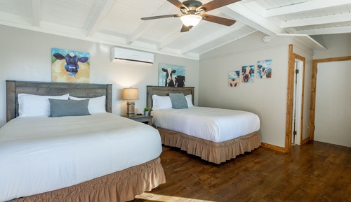Habitación Deluxe, 2 camas de matrimonio