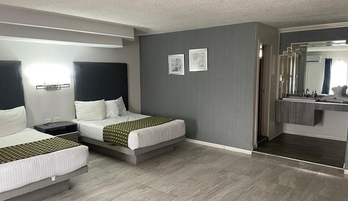 Suite Estudio Business