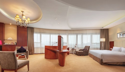Suite estudio superior