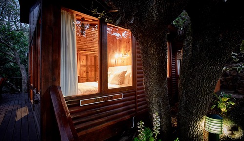 Hillside Chalet