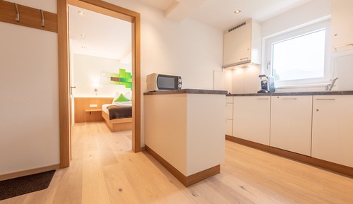 Apartamento superior, 1 habitación, balcón (45 Square Meters)