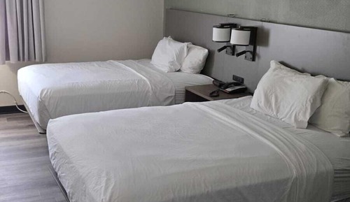 Habitación estándar doble, 2 camas dobles